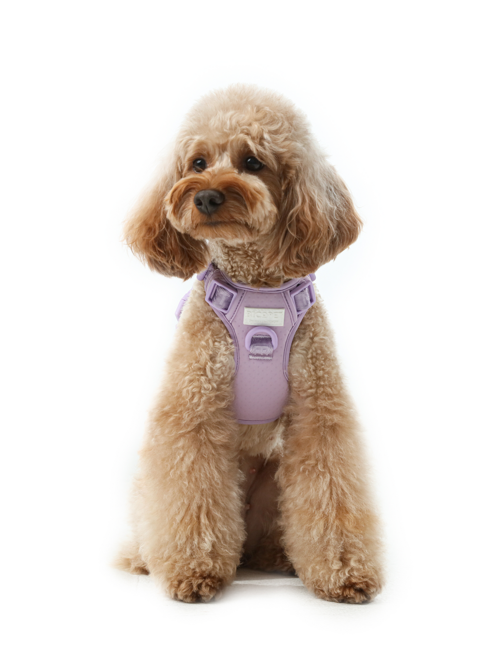 No Pull Dog Harness - MINT PURPLE