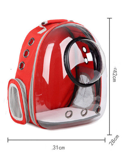Cat Transparent Space Bag