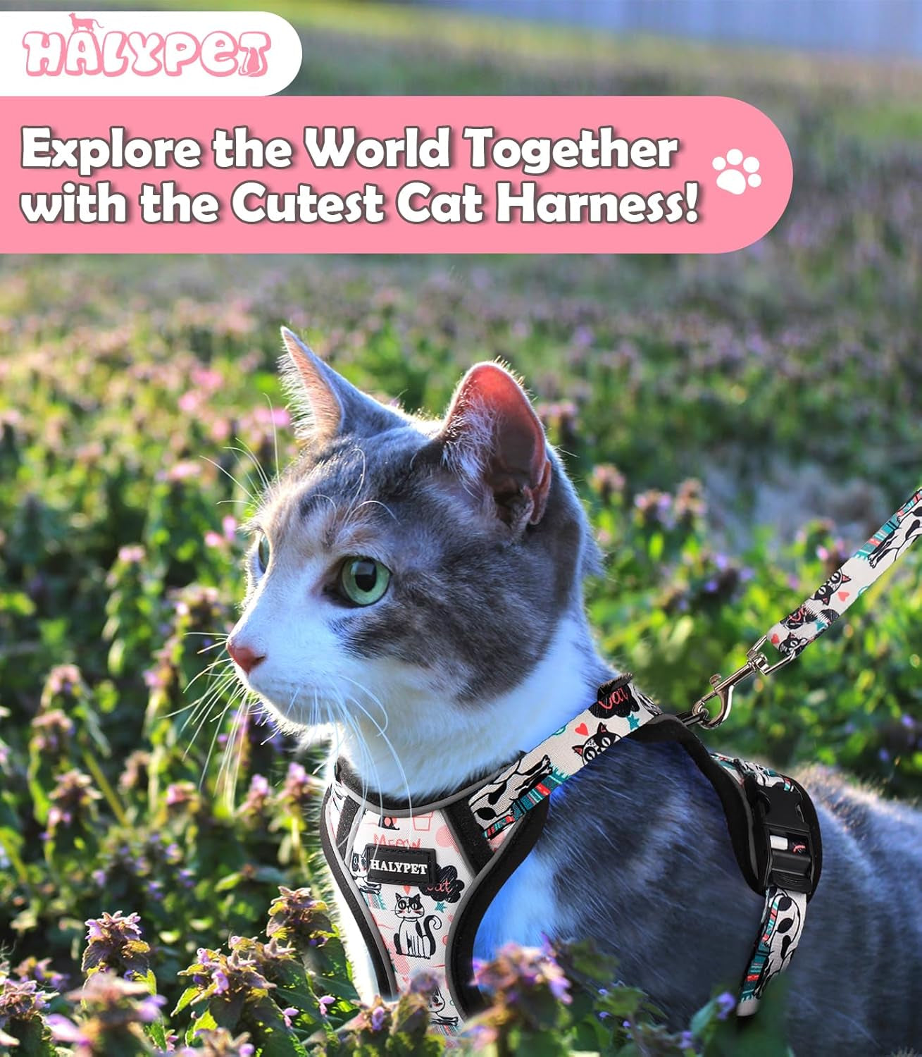 Cat Harness and Leash