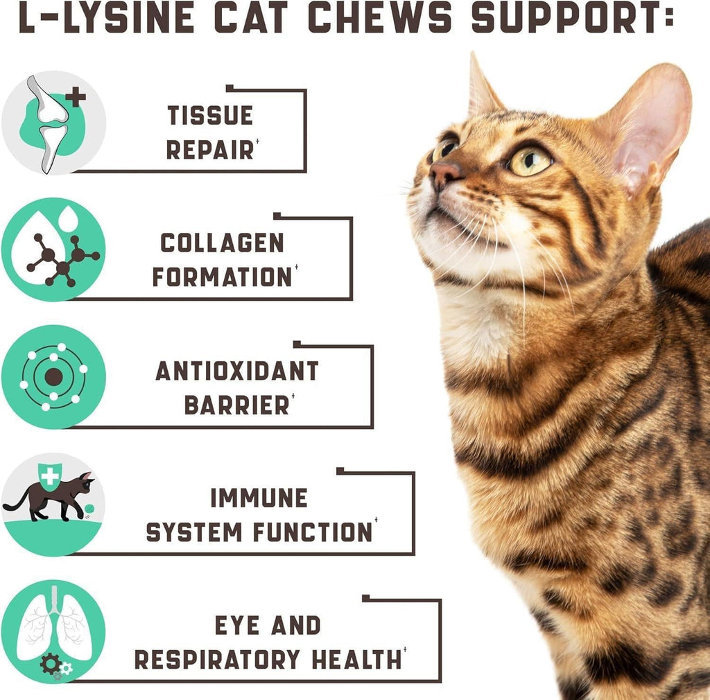 Cat Eye, Immune & Respiratory Support