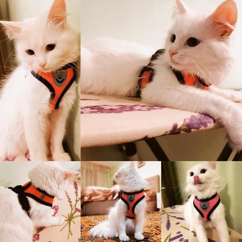 Cat Harness Vest & Leash