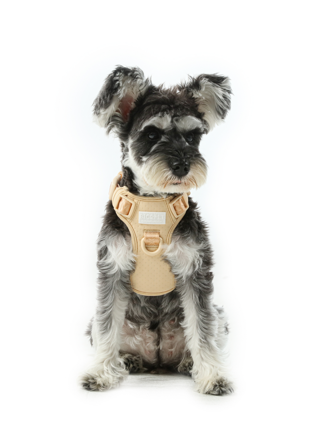 No Pull Dog Harness- APRICOT