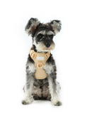 No Pull Dog Harness- APRICOT