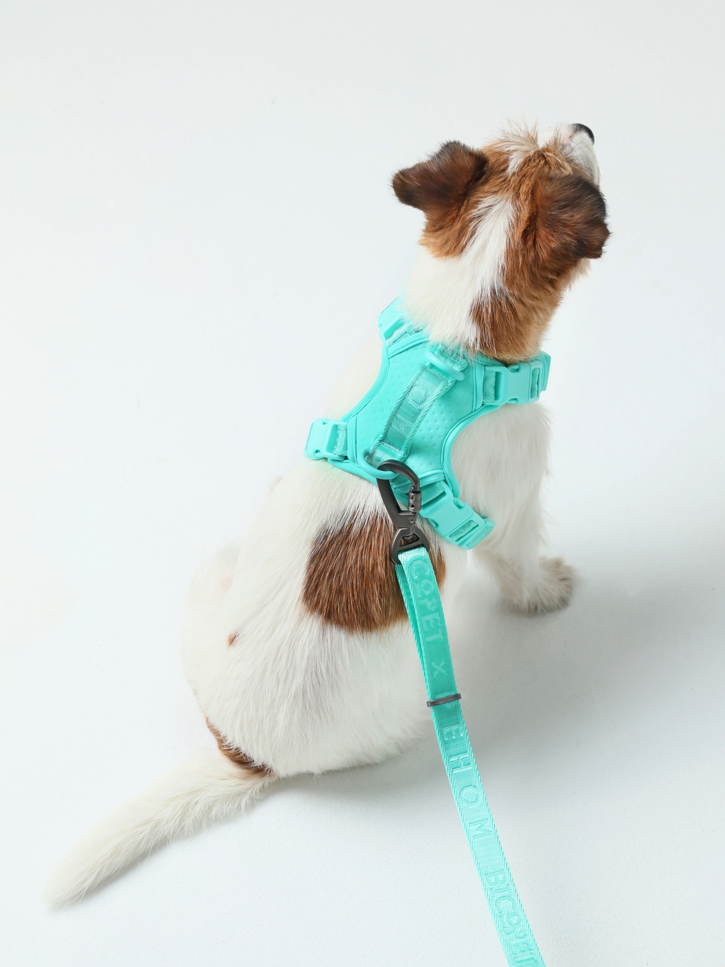 No Pull Harness Mint Green