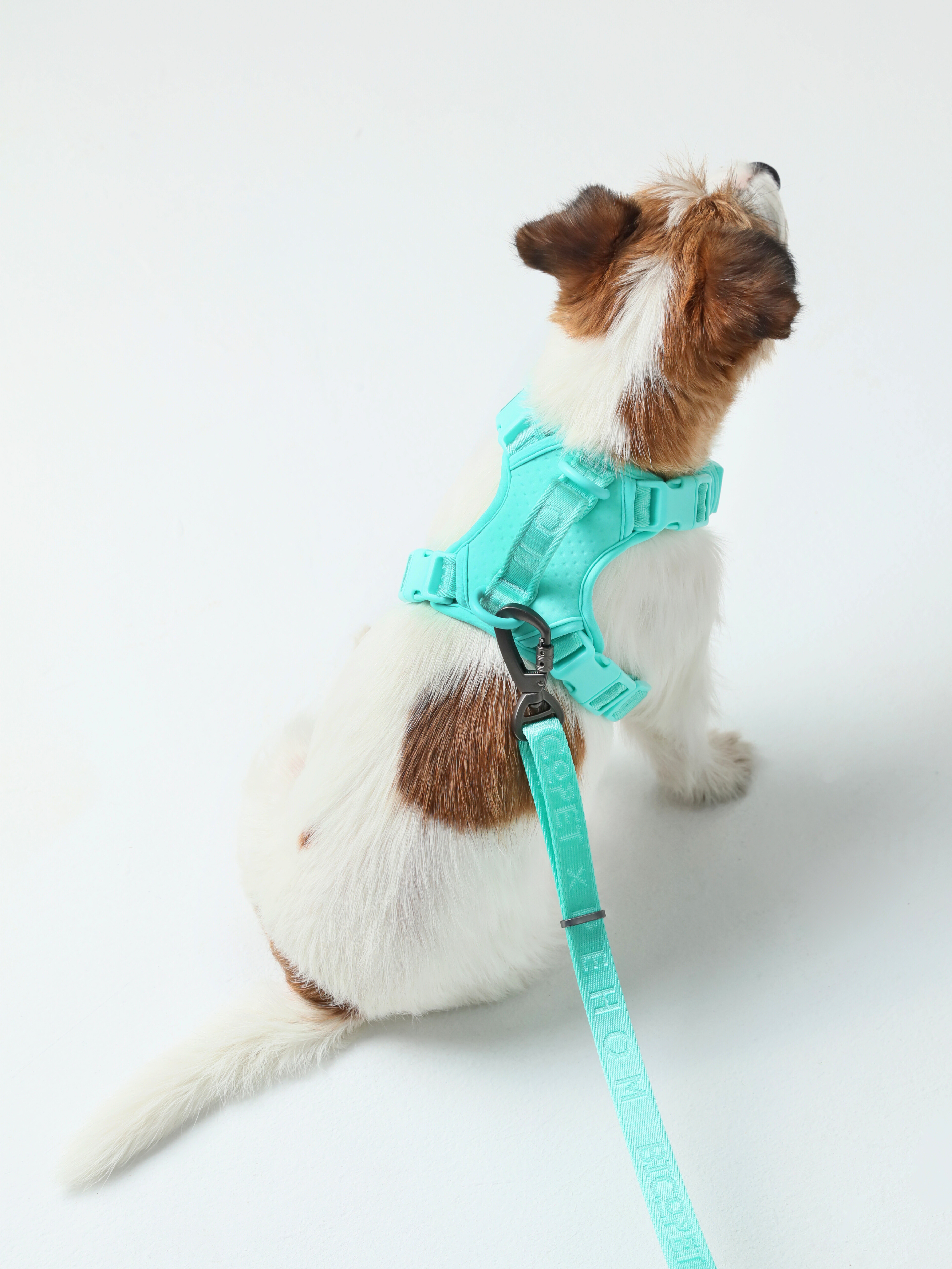 No Pull Harness Mint Green