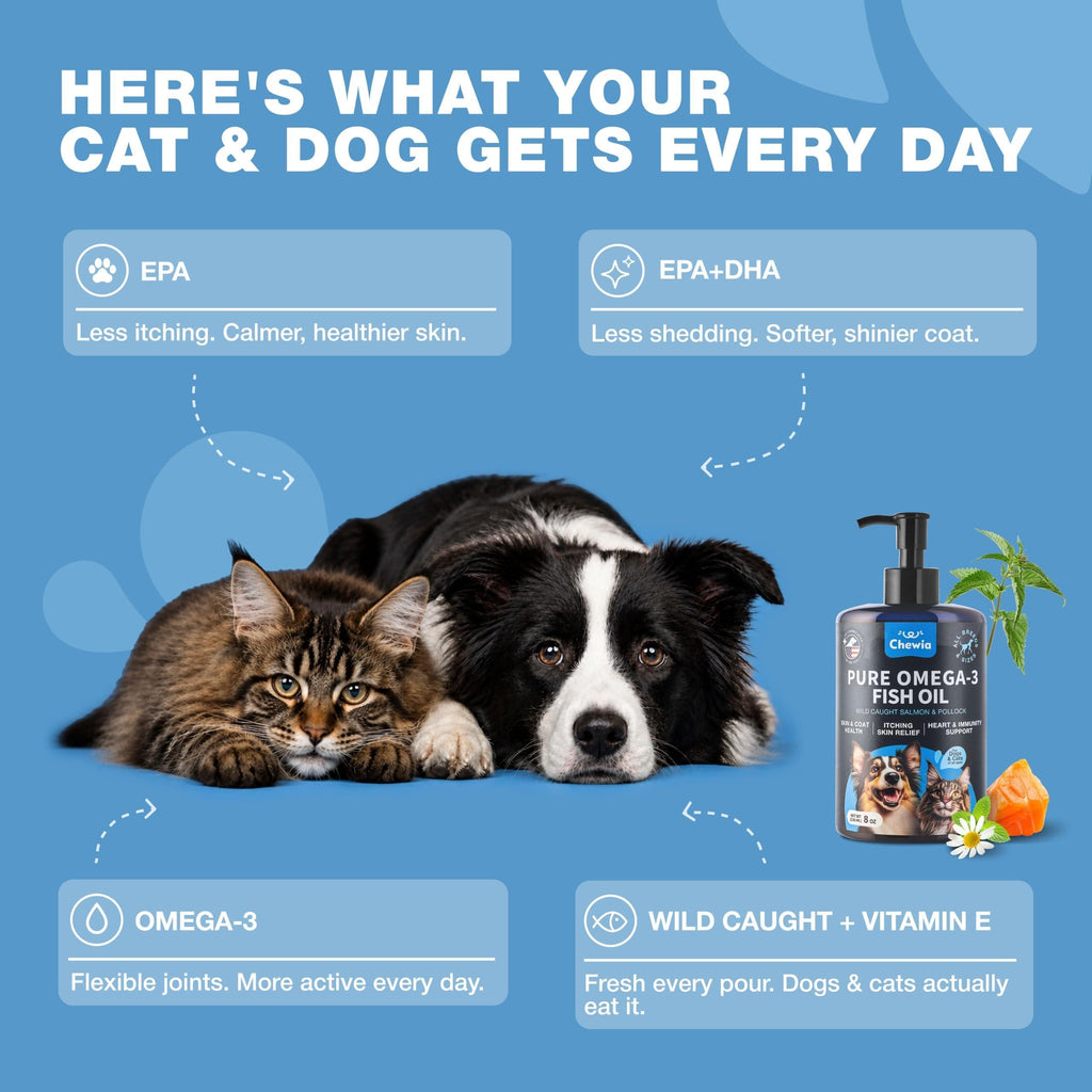 Omega 3 Fish Oil for Dogs and Cats  Healthy Skin and Coat
