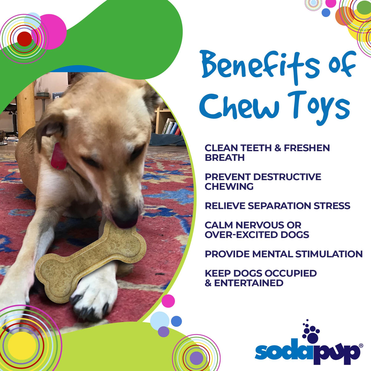 Bone Ultra Durable Dog Chew Toy