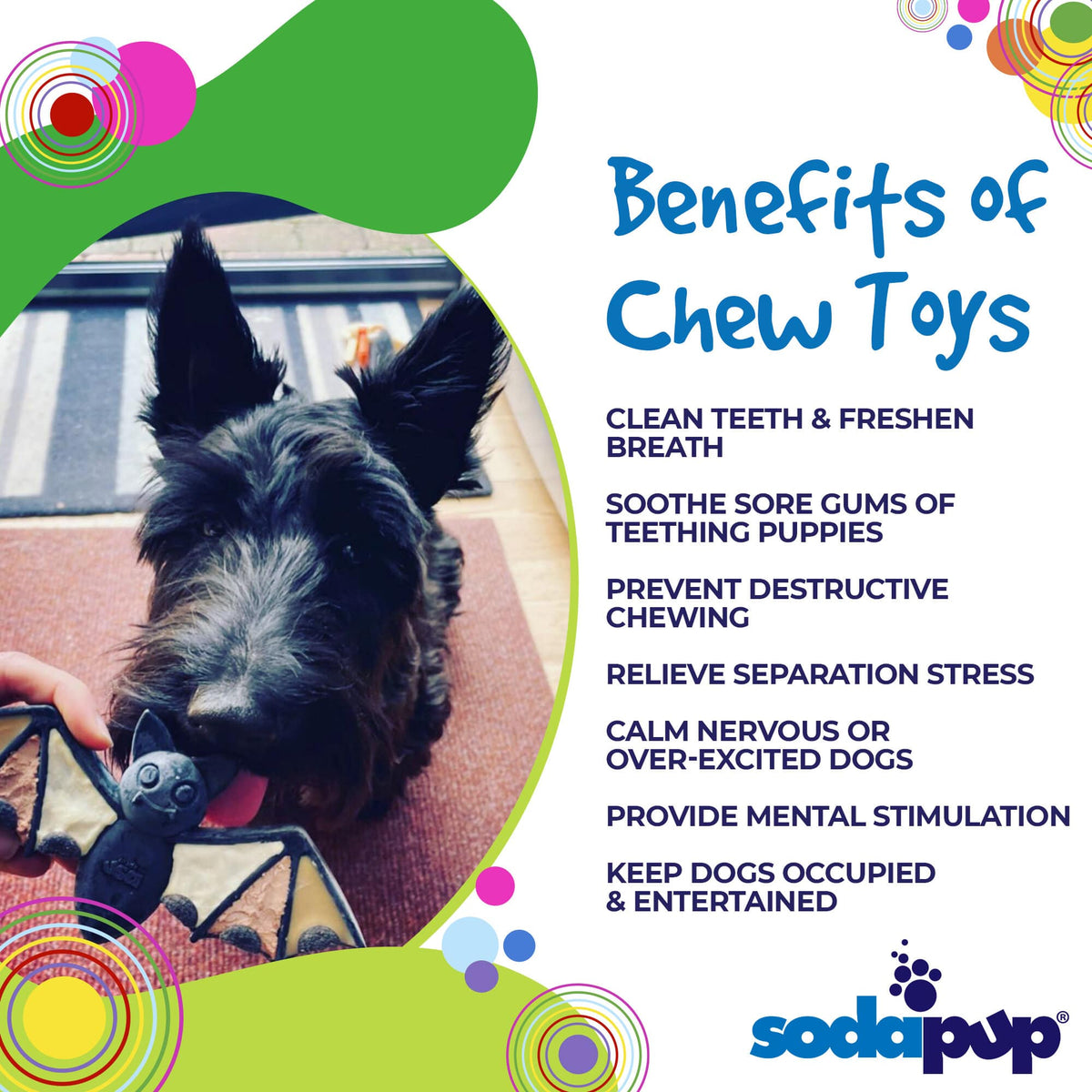 Bat Dog Chew Toy
