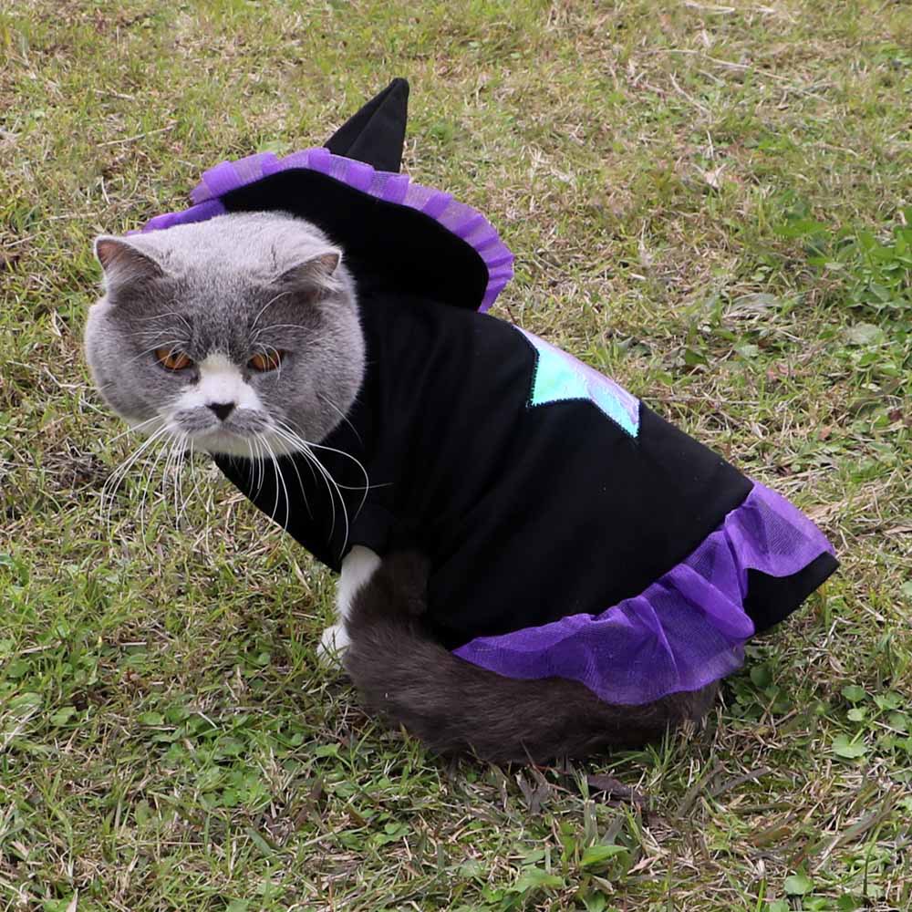 Wizard Halloween Costume
