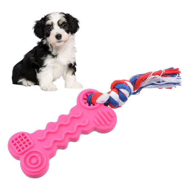 Dog Biscuit Cookie Toy