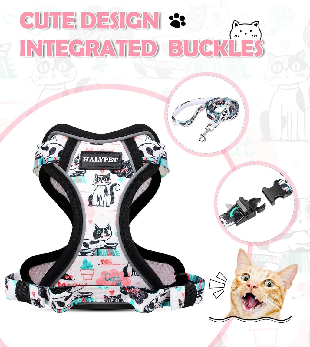 Cat Harness and Leash