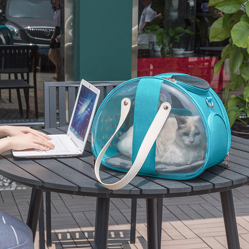 Pet Transparent Backpack