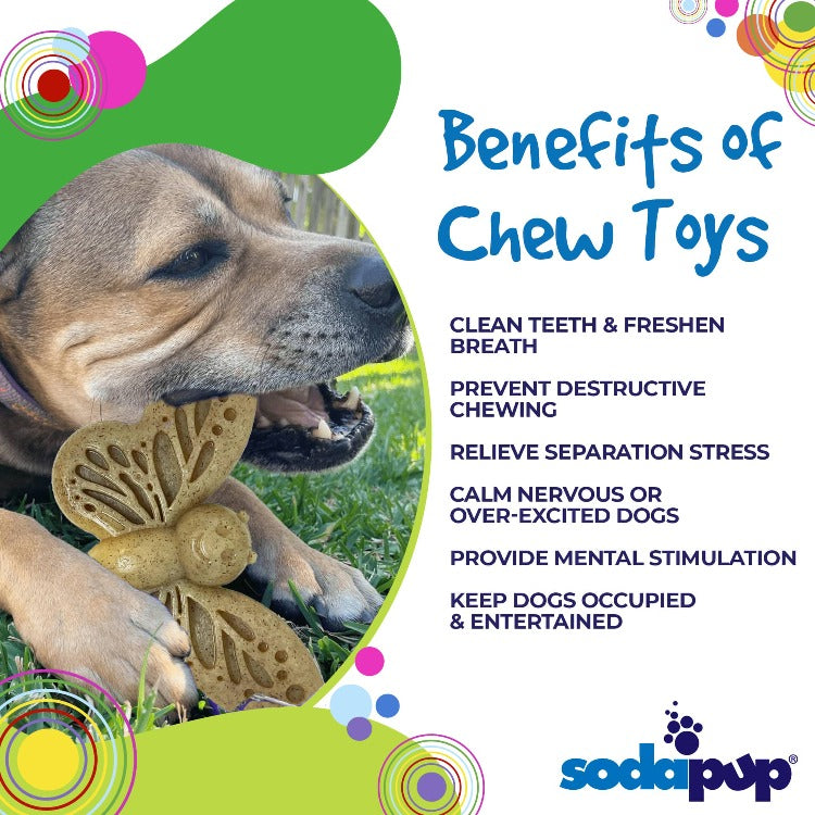 Butterfly Chew & Enrichment Toy