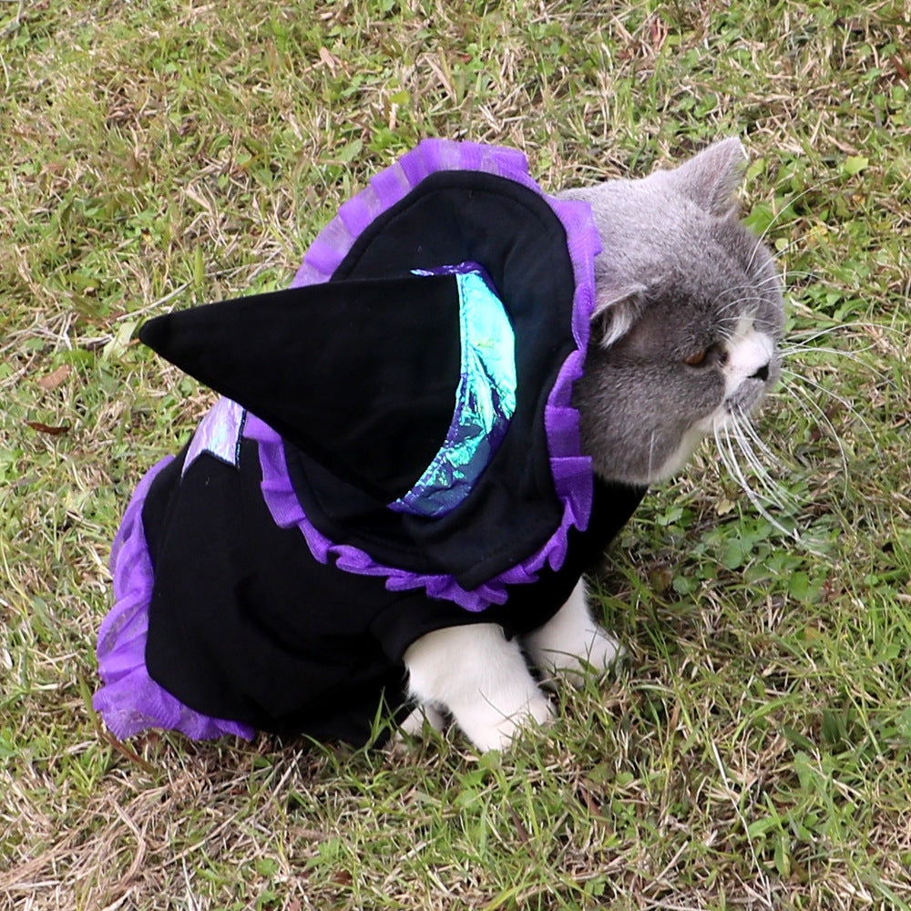 Wizard Halloween Costume