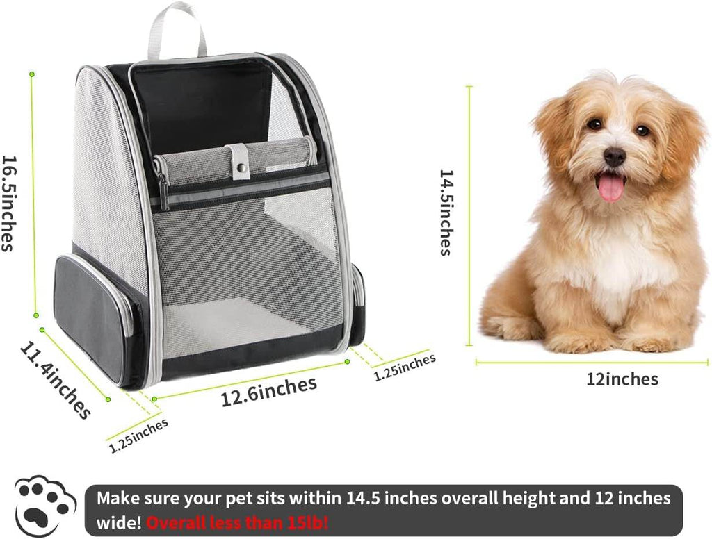Travel Backpack Carrier