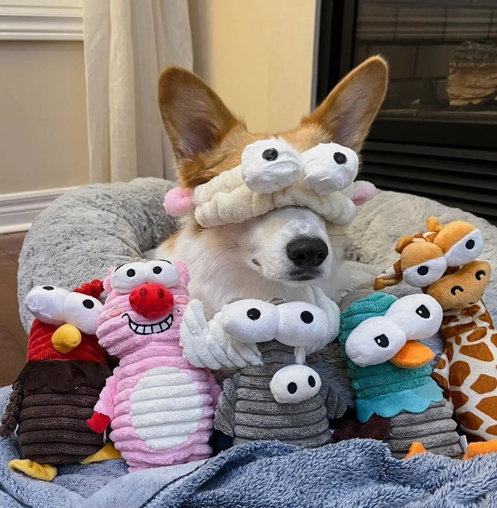 5-Pack Squeaky Dog Toys