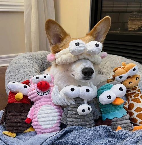 5-Pack Squeaky Dog Toys
