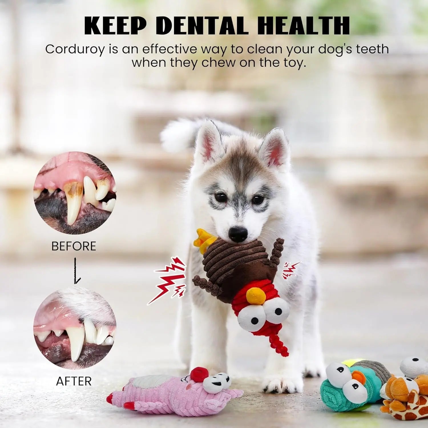 5-Pack Squeaky Dog Toys