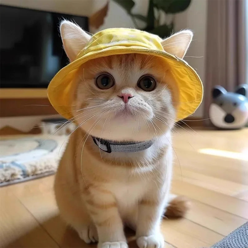 Sun Hat for Cats