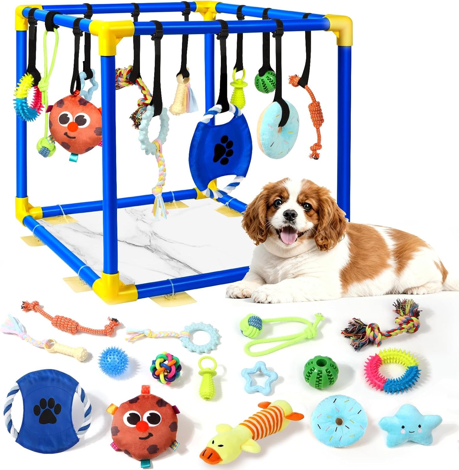 Interactive Puppy Play Gym