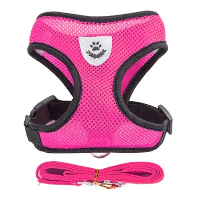 Cat Harness Vest & Leash