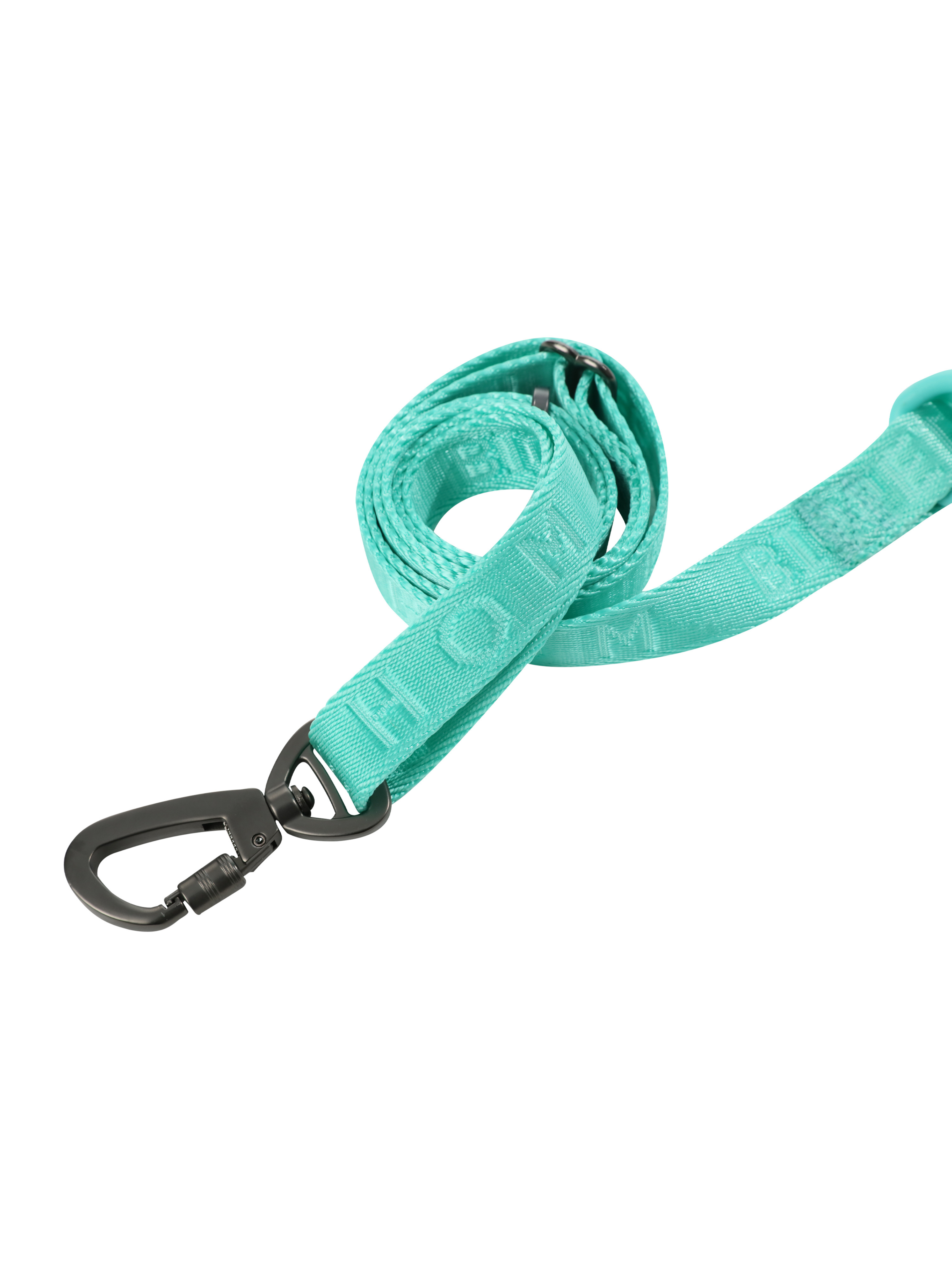 Padded Pet Leash Mint Green