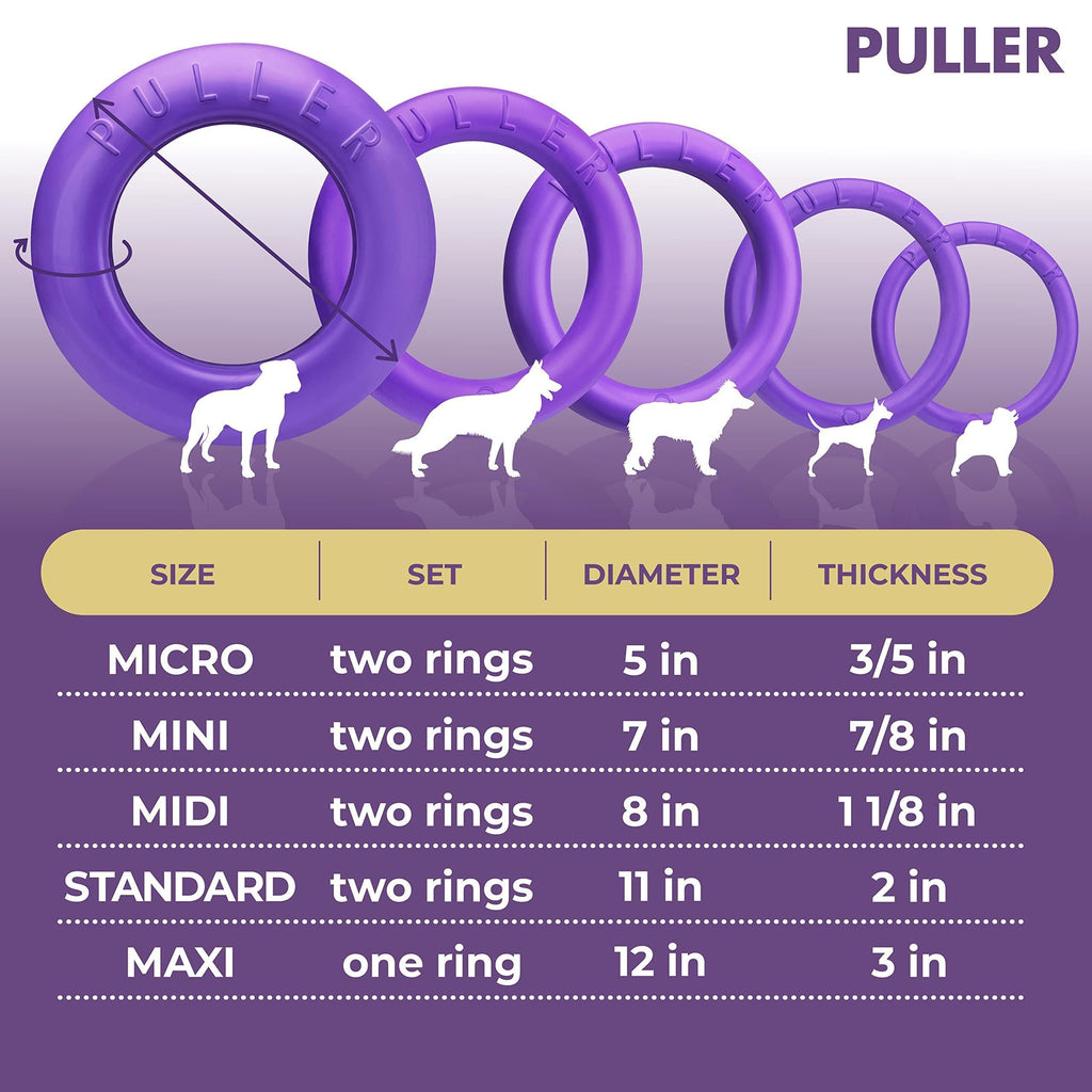 Ring Fetch Toy Large