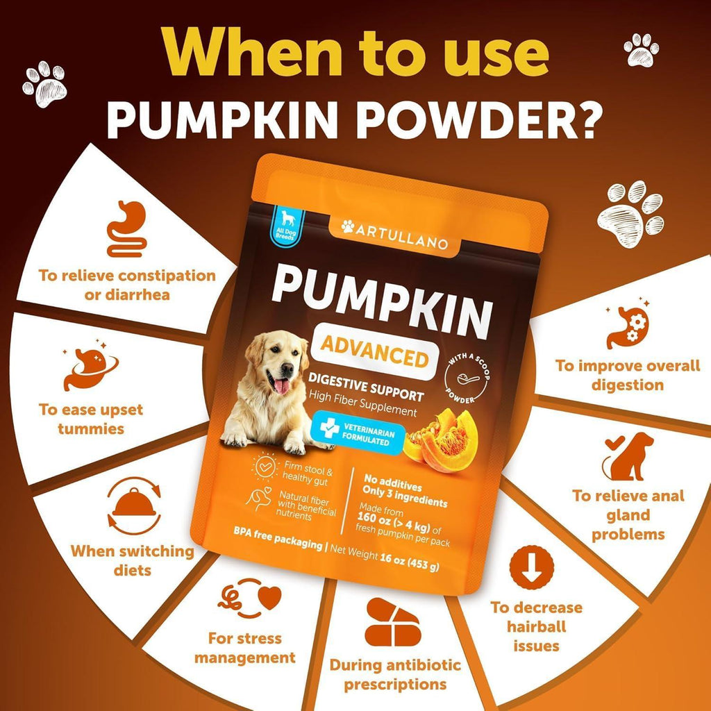 Pumpkin Powder for Dogs Digestive Wellness