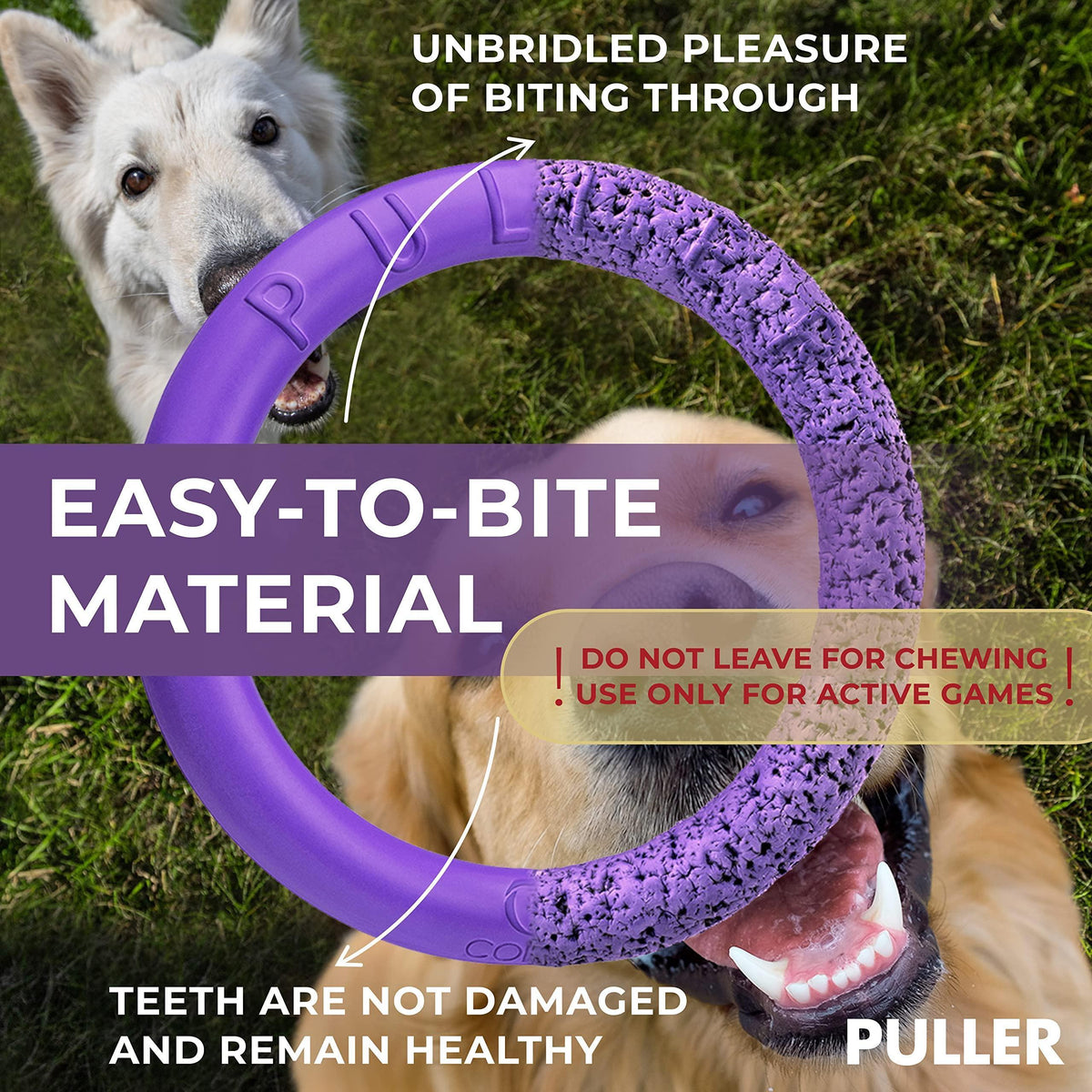 Large Dog Fetch Toy 2 Rings