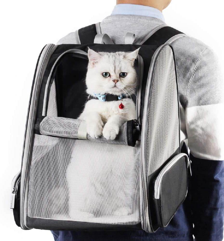Travel Backpack Carrier