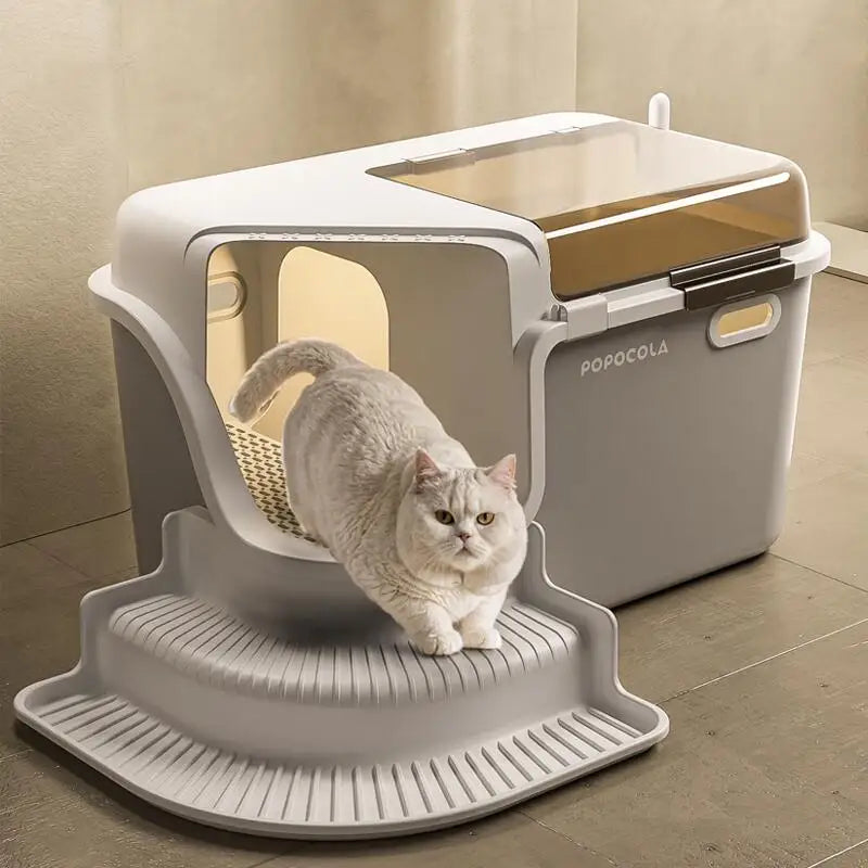 Large Cat Litter
