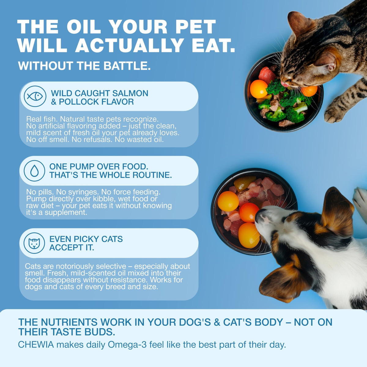 Omega 3 Fish Oil for Dogs and Cats  Healthy Skin and Coat