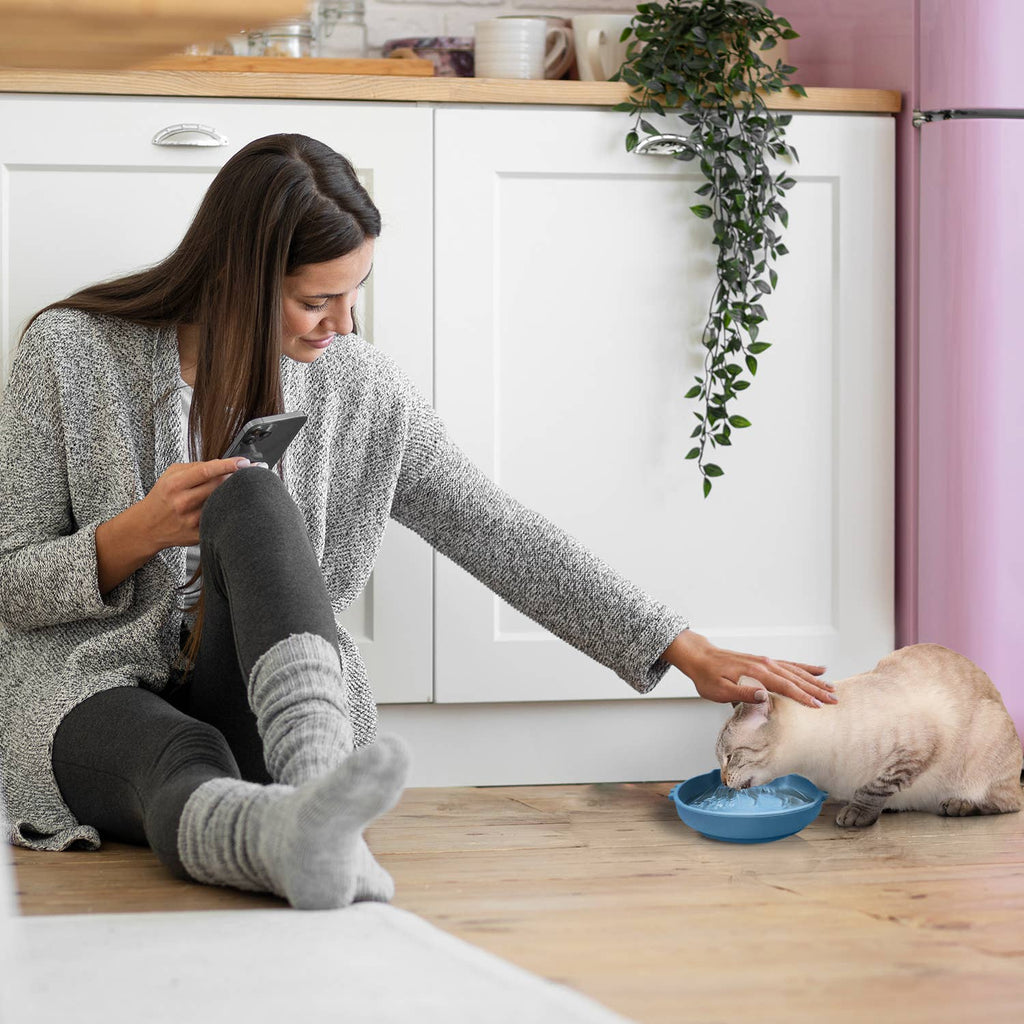 Cat Shaped Silicone Bowl