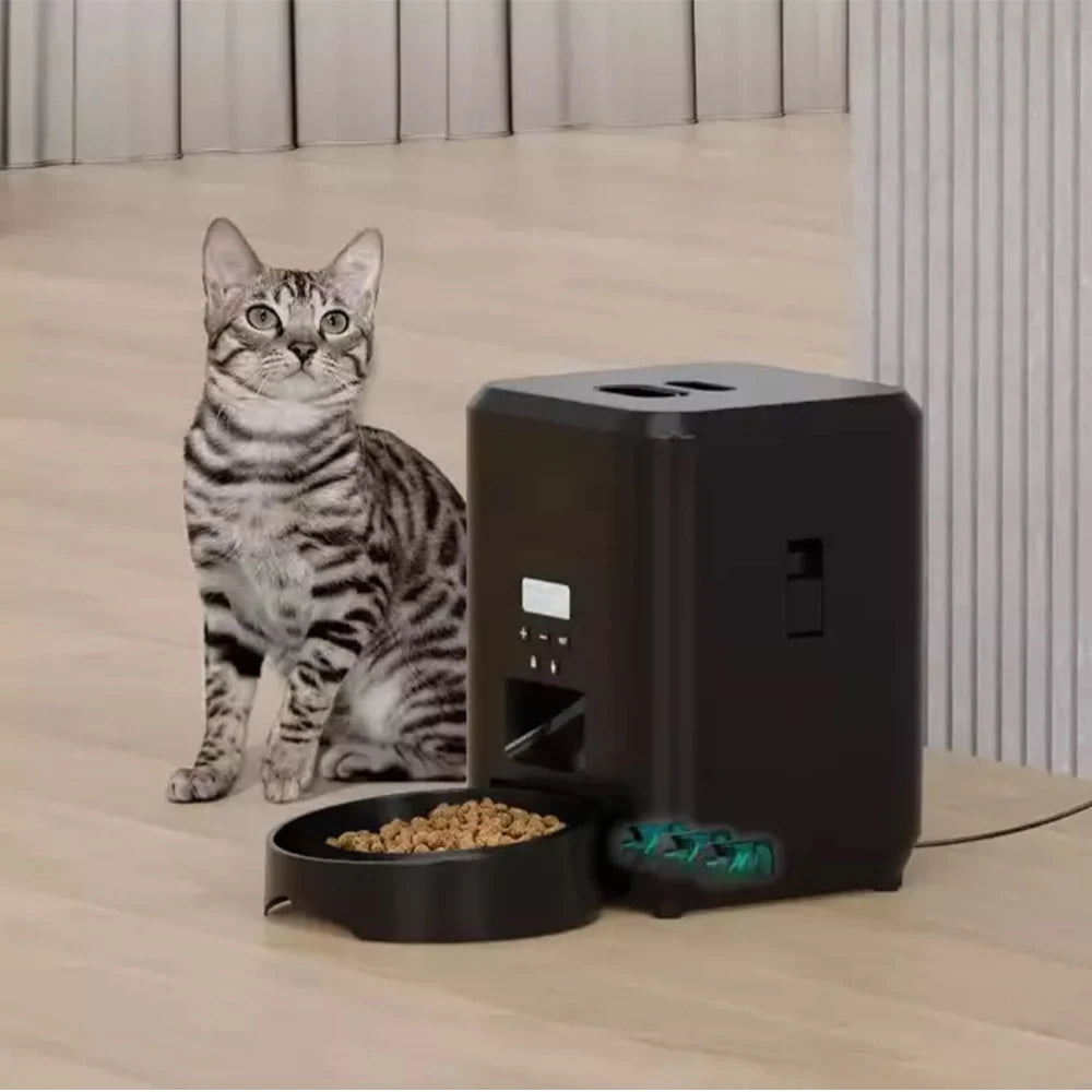 Automatic Cat Feeder