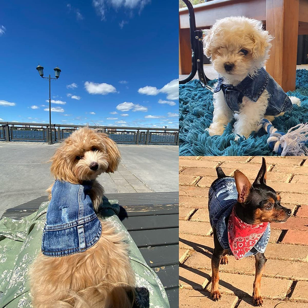 Pet Blue Denim Jacket