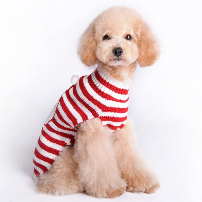 Santa Christmas Sweater