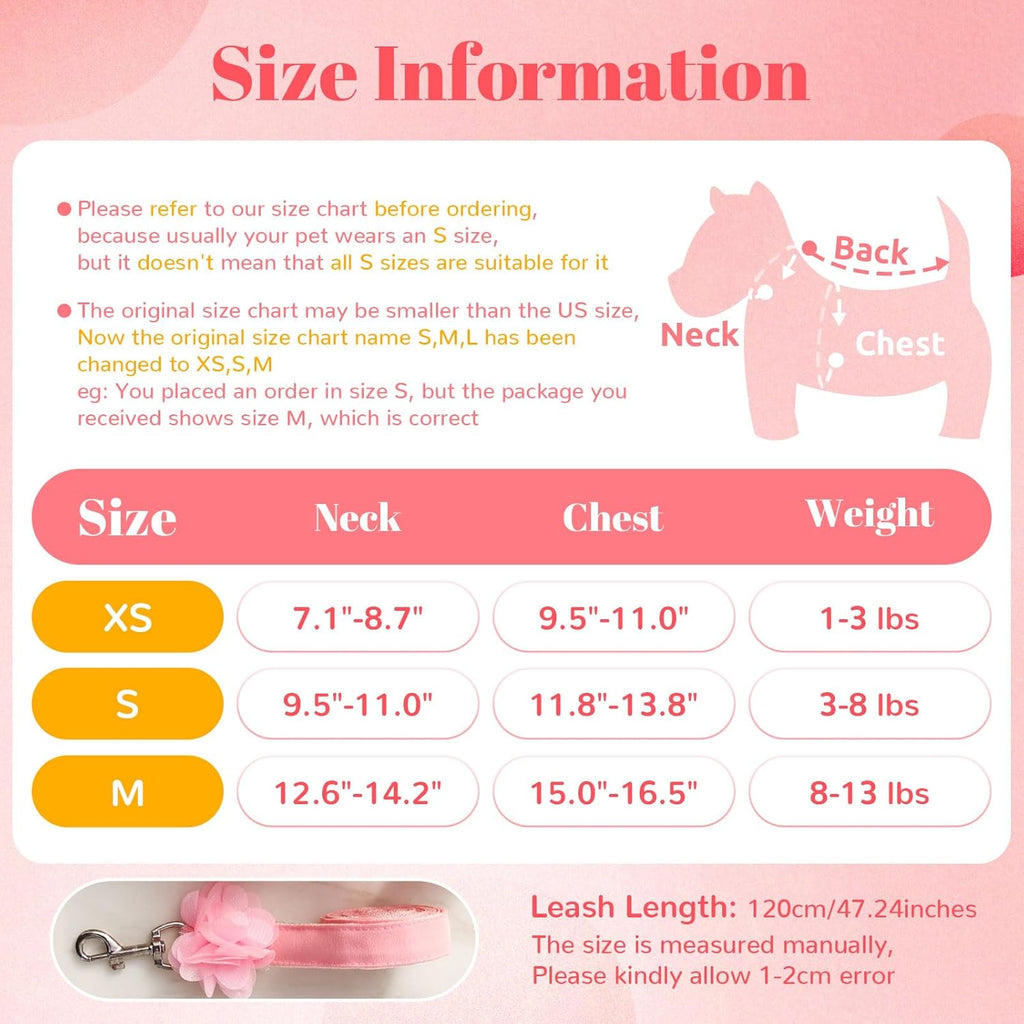Luxury Floral Dog Harness and Leash Set