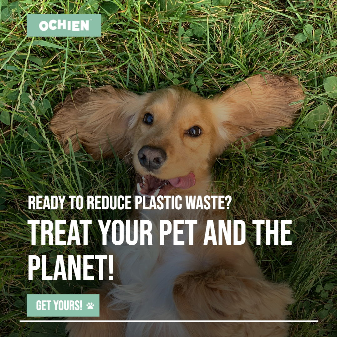 Recycled Ocean Plastic Dog Bowl