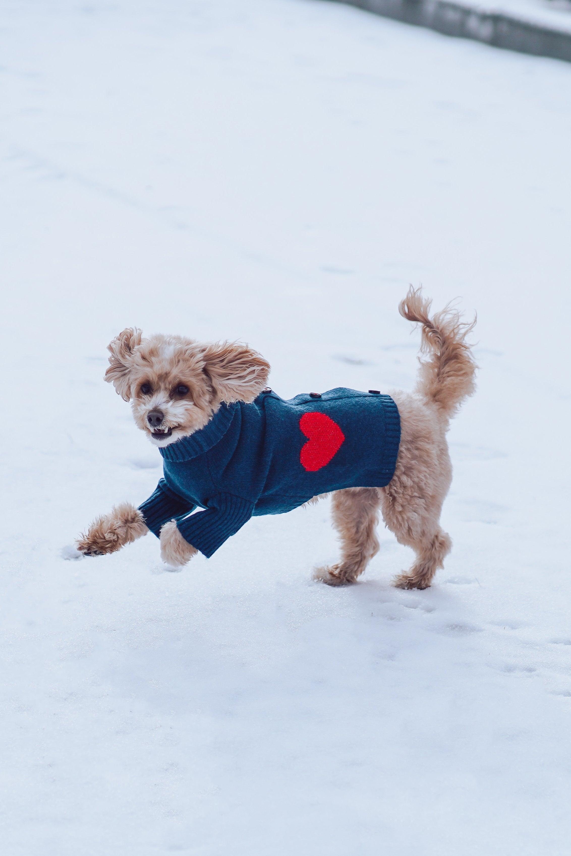 Heart to Heart Button-Up Cardigan Sweater