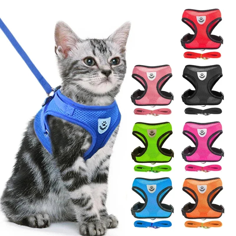 Cat Harness Vest & Leash