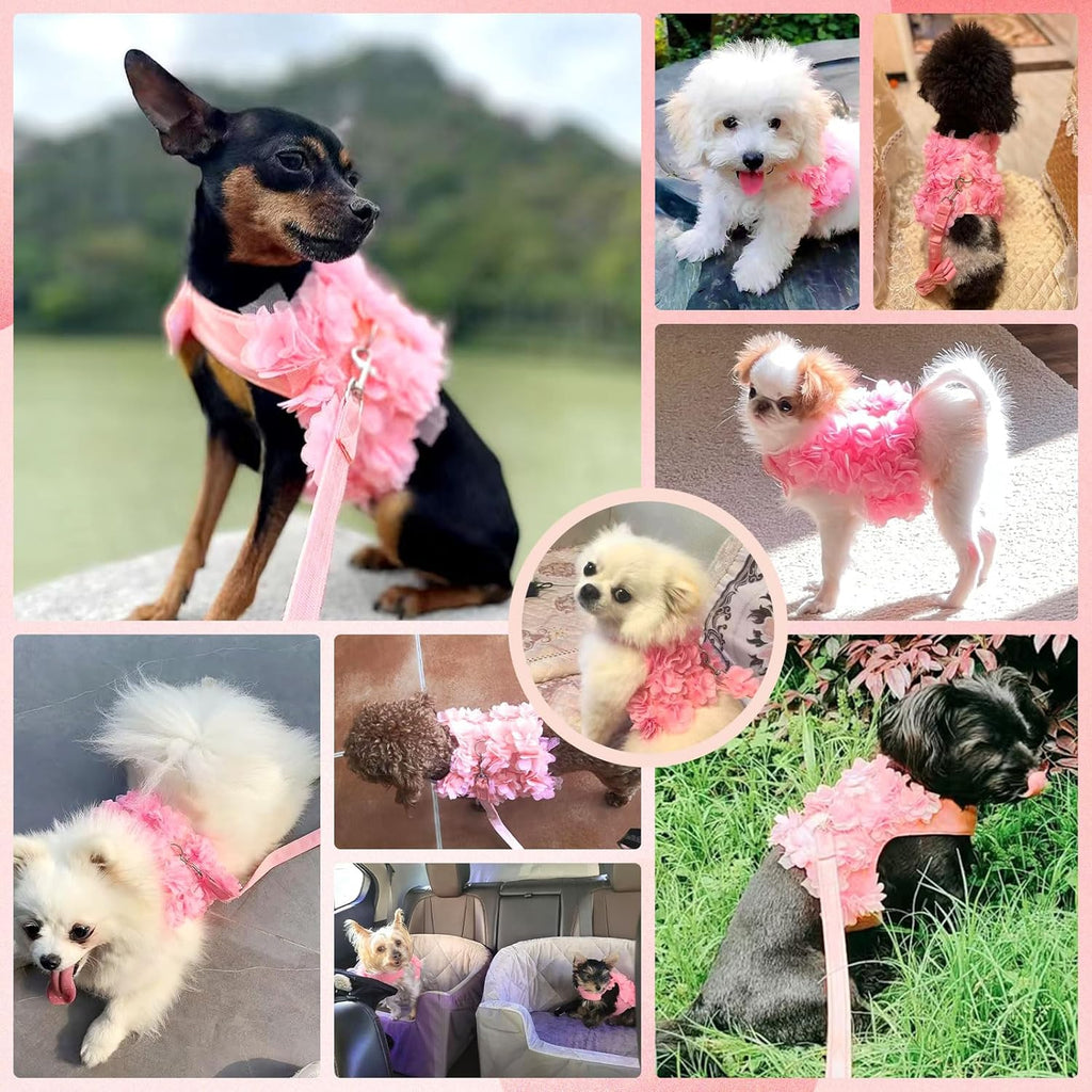Luxury Floral Dog Harness and Leash Set