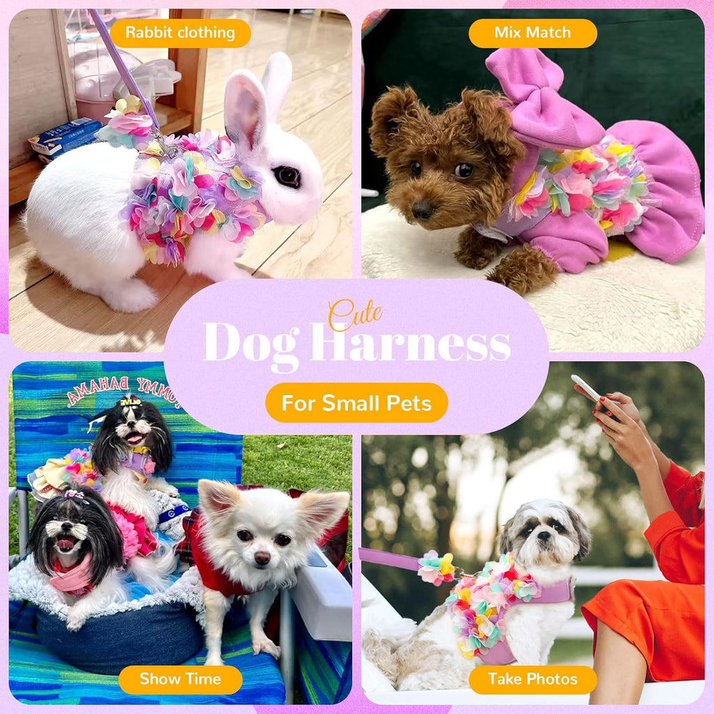 Luxury Floral Dog Harness and Leash Set