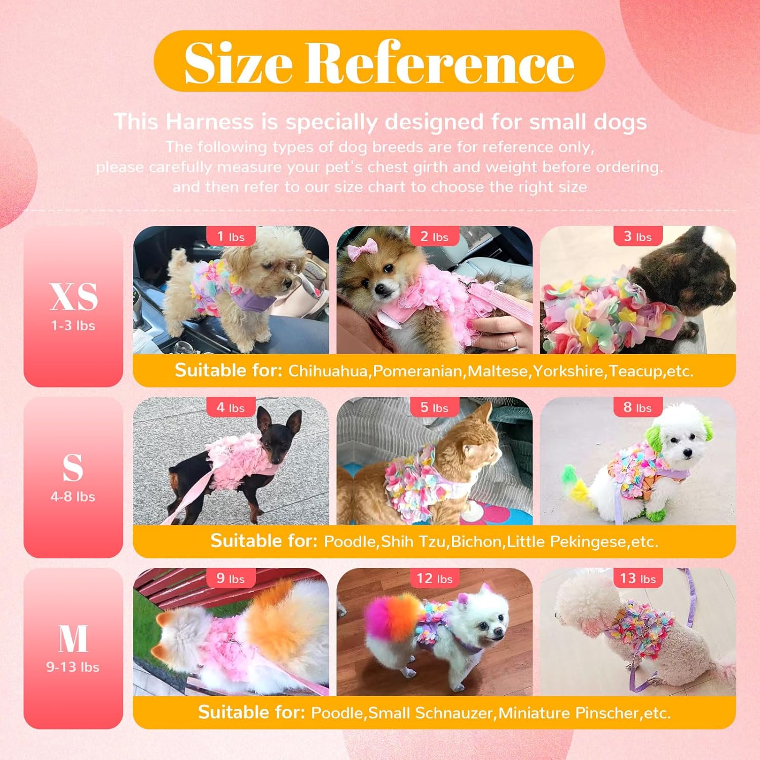 Luxury Floral Dog Harness and Leash Set