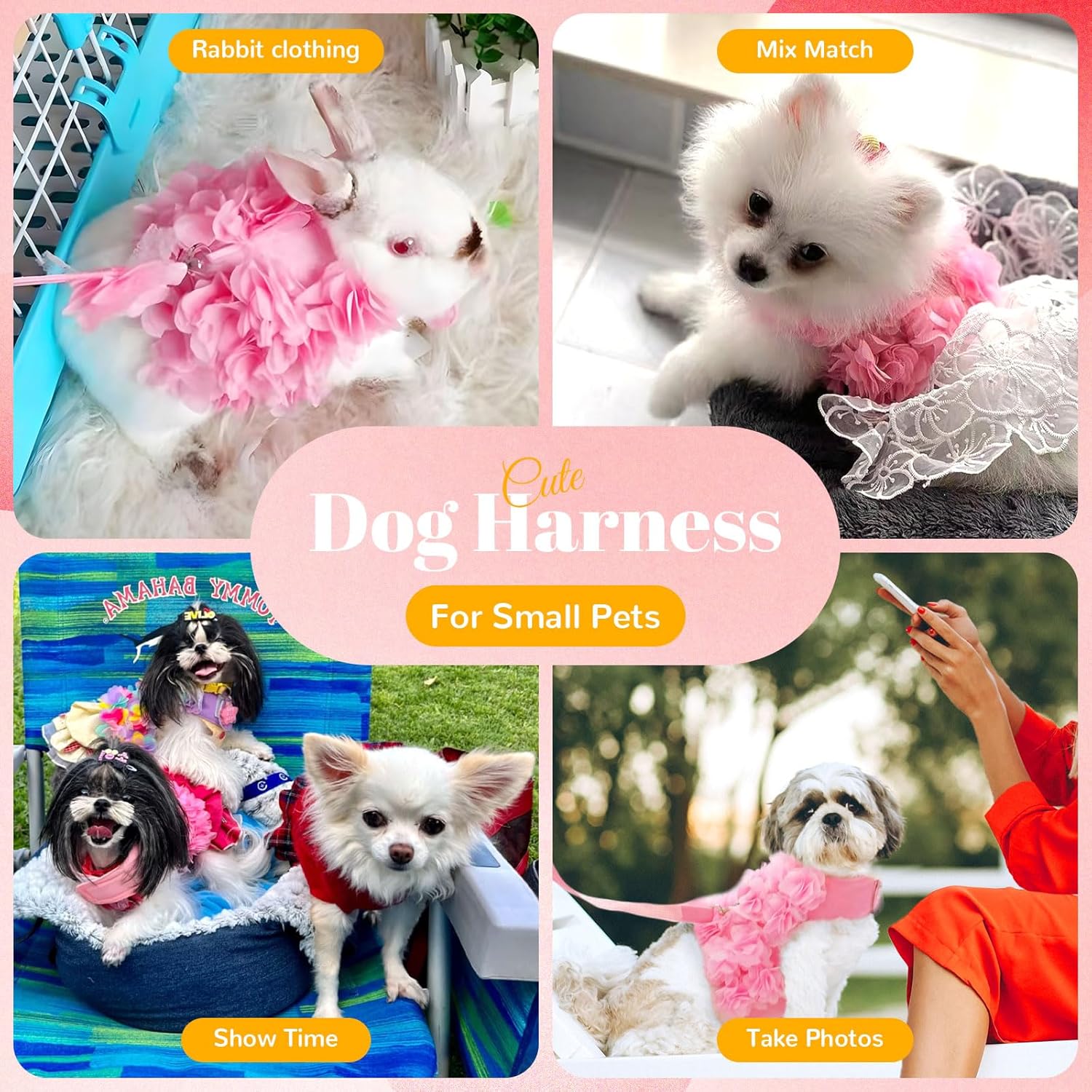 Luxury Floral Dog Harness and Leash Set