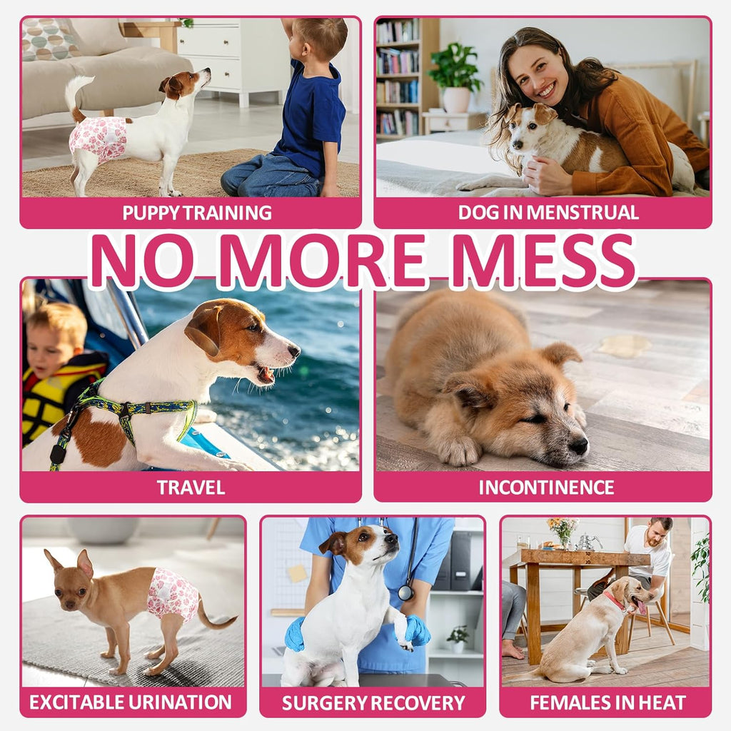 Female Dog Diapers Disposable