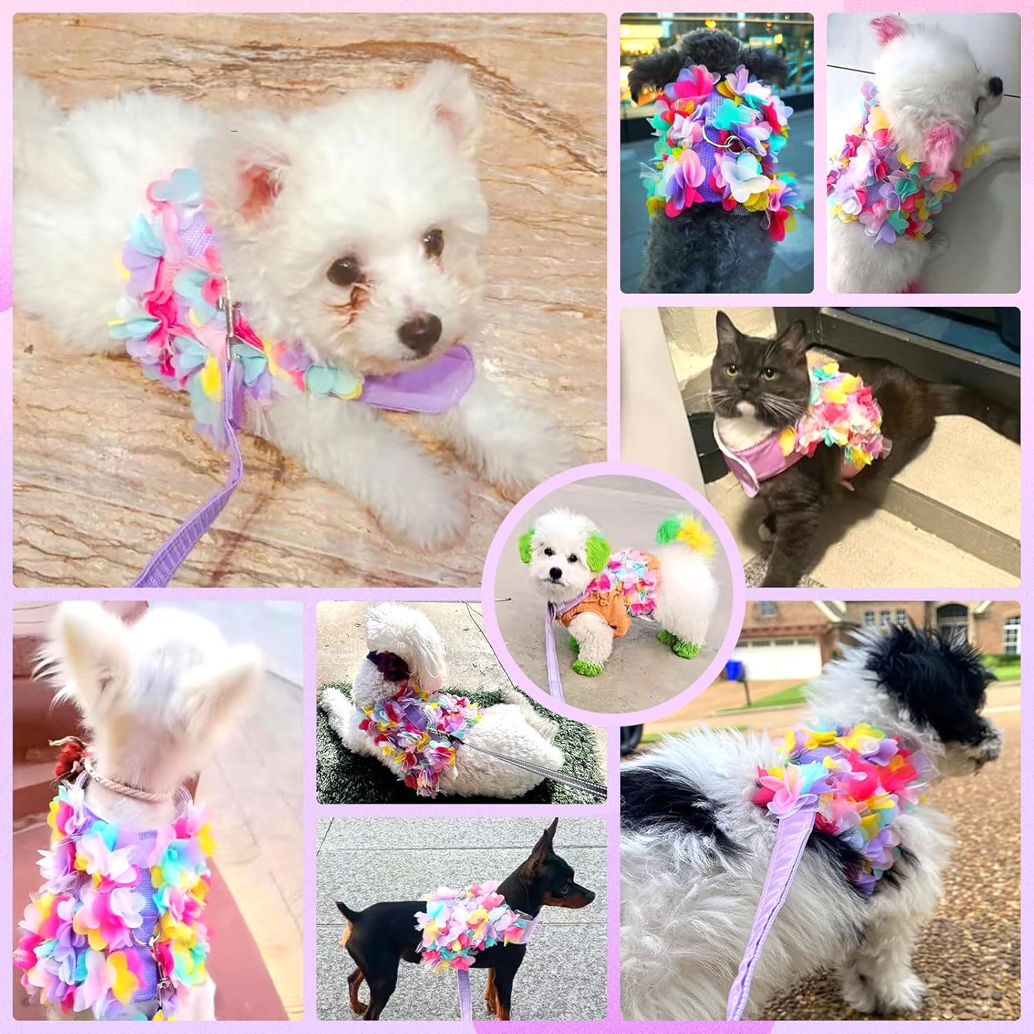 Luxury Floral Dog Harness and Leash Set