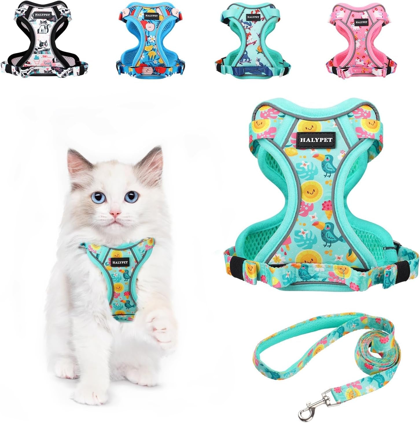 Cat Harness and Leash