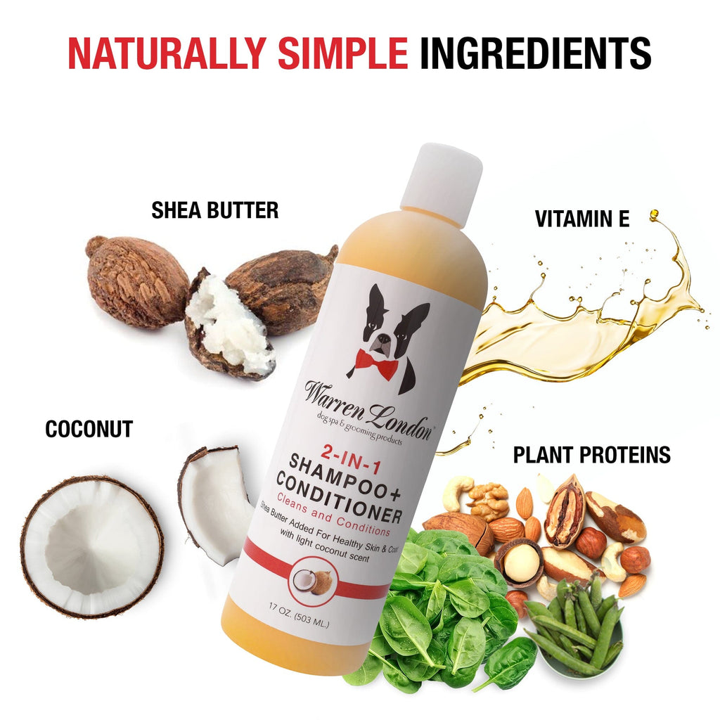 2-in-1 Shampoo + Conditioner - Coconut Scented - Professional Size