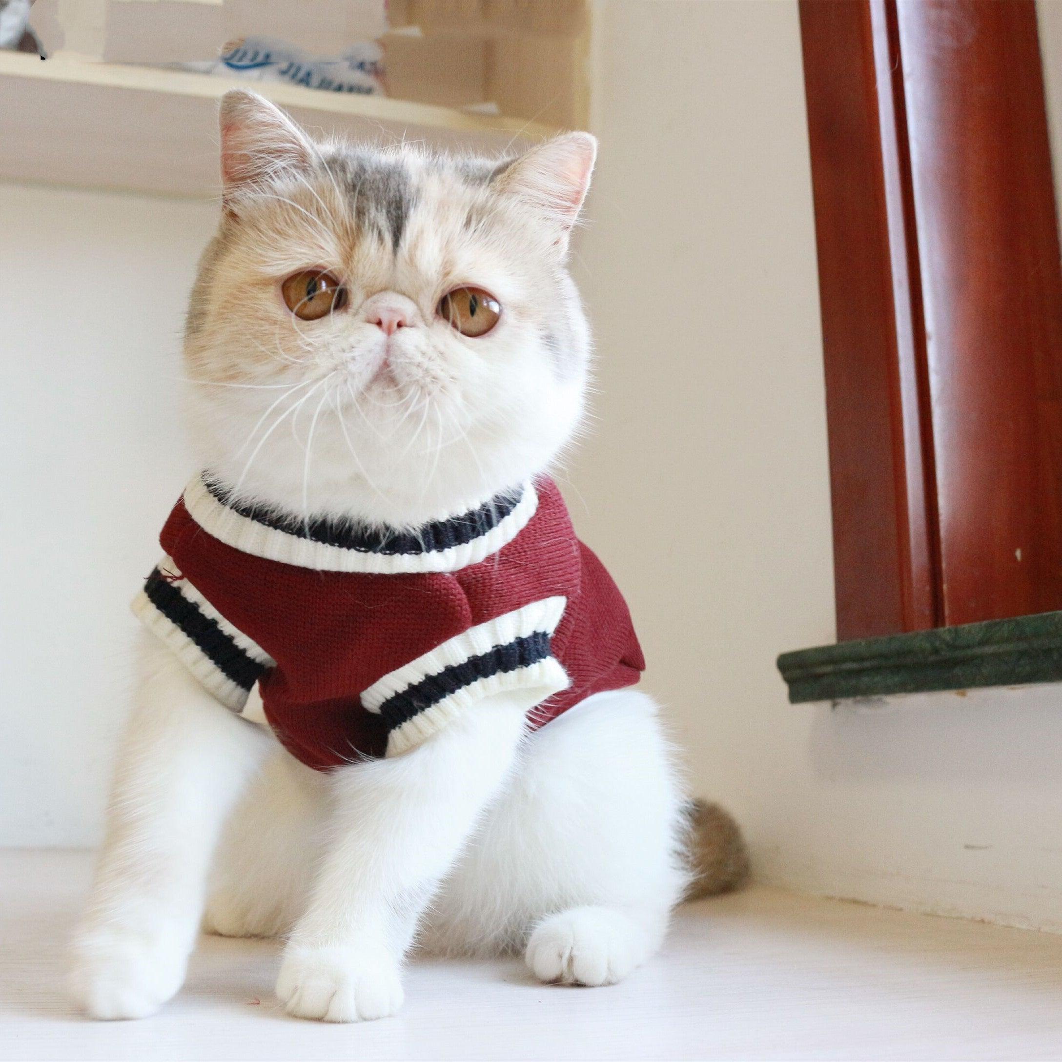 Knit Sleeveless Sweater for Cat
