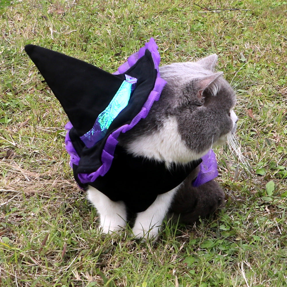 Wizard Halloween Costume